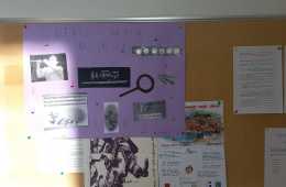 plakat-na-oglasnoj-ploci-skole